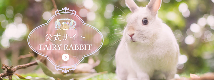 公式サイトFAIRY RABBIT