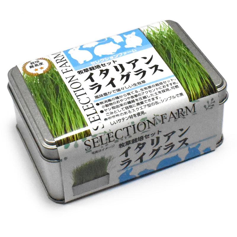 牧草栽培セット　イタリアンライングラス